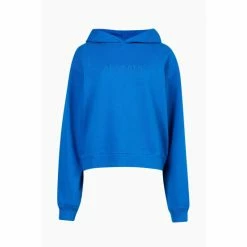 All Saints AllSaints Blue Pippa Hoodie -AllSaints shop unnamed file 3796